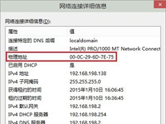 Win10系统查看Mac地址的方法