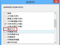 Win10系统下查看程序运行时占用多少虚拟内存的方法
