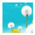 http://xitongzhijia.mg188.cn/lib/img1/150126/48-1501261AF3M0.jpg