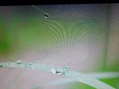 电脑花屏是什么原因？