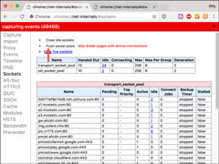 Chrome如何刷新DNS缓存？Chrome清理DNS缓存的方法