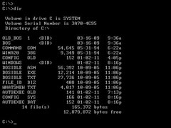 为何无法在DOS模式下装Windows XP