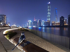 干净通透！雷军晒出小米MIX 2S手机夜景样张