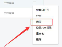 腾讯文档怎么将文档置顶 腾讯文档置顶文档操作步骤
