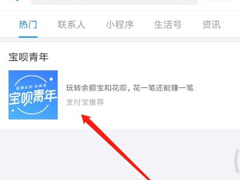 支付宝如何玩转宝呗青年？支付宝宝呗青年的玩法