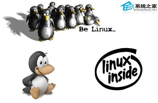 mkdir命令在Linux中的应用
