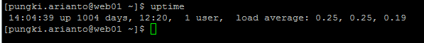  Linux uptime命令操作实例