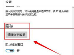 Windows10斯巴达浏览器删除历史记录和cookie的方法