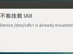怎么解决Ubuntu系统无法挂载U盘的问题？