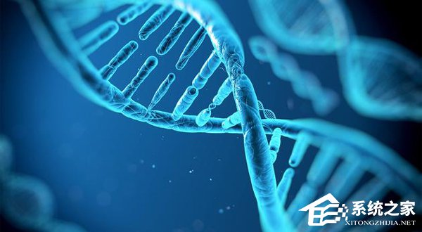 微软DNA存储技术获得大突破：已保存约200MB的数据