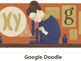Google Doodle更换新主题 纪念Y染色体发现者
