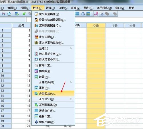 Spss怎么用?Spss分类汇总教程