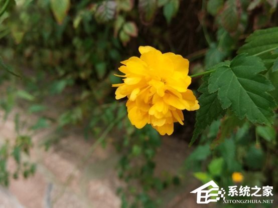 小米Note2体验评测：双曲面柔性屏不失端庄典雅之态