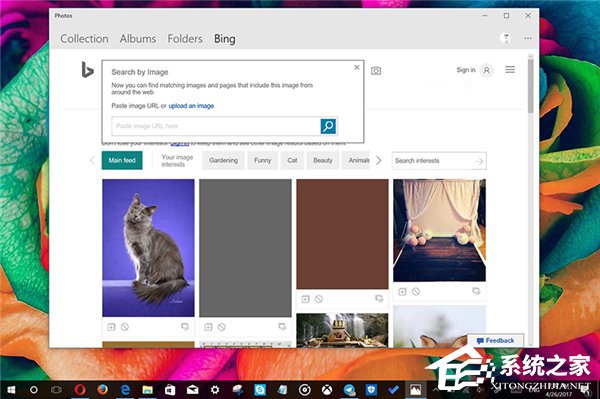 集成必应搜索功能?Microsoft照片 Win10 UWP版新功能曝光