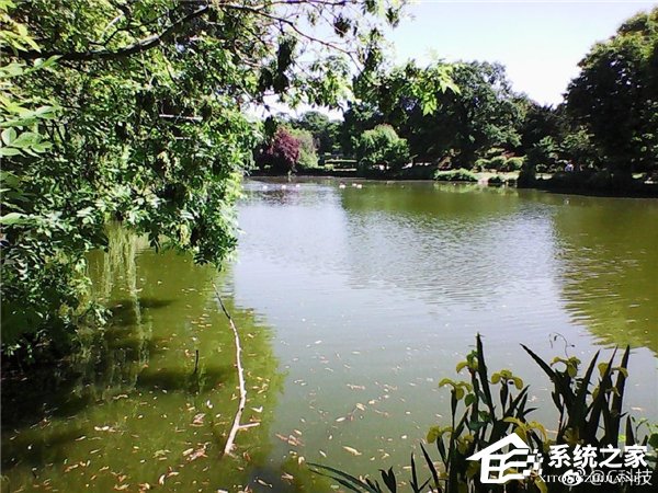 诺基亚3310复刻版拍照样张：200万像素就够了！