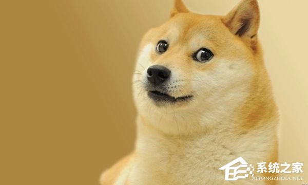 单身狗注意了！研究显示：单身人群患老年痴呆的风险增加了42%