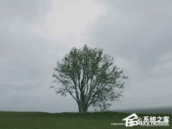 双摄成最大亮点！三星秀Galaxy Note8拍照样张