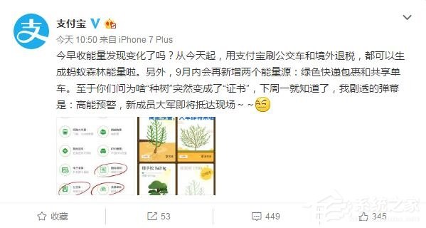 蚂蚁森林能量又加新攻略：刷公交卡、骑共享单车也能种树了