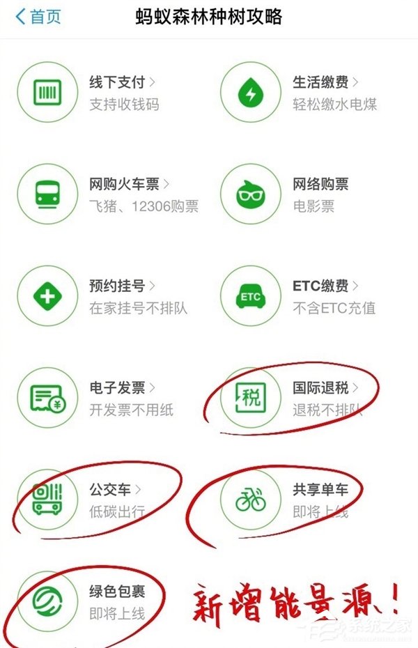 蚂蚁森林能量又加新攻略：刷公交卡、骑共享单车也能种树了