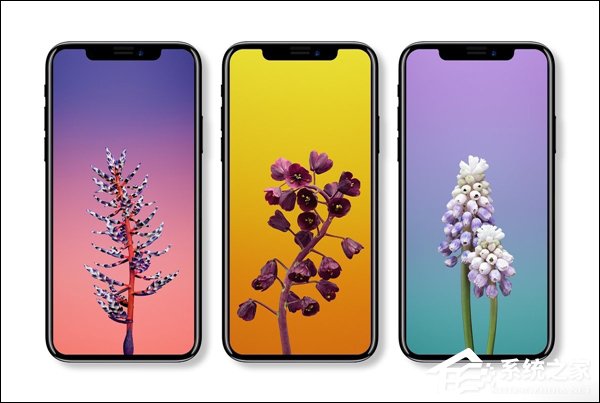 你被之前的谍照骗了没？iPhone X最新定妆照曝光