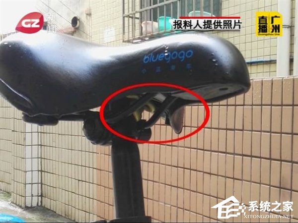 小心共享单车坐垫底下！伸手调座椅竟被蛇咬