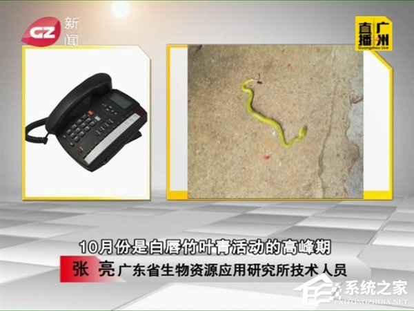 小心共享单车坐垫底下！伸手调座椅竟被蛇咬