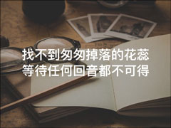使用唱吧生成歌词海报的方法 唱吧制作文字手机壁纸的步骤
