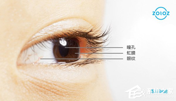 轻松识别同卵多胞胎！蚂蚁金服发布“黑科技”眼纹识别