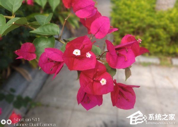 金立S11好不好？金立S11深度评测