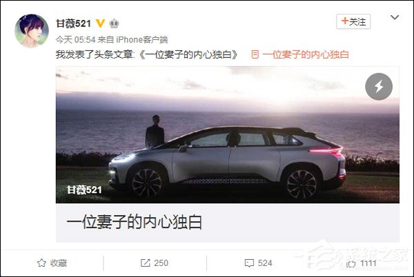 甘薇微博发文称代贾跃亭向大家道歉