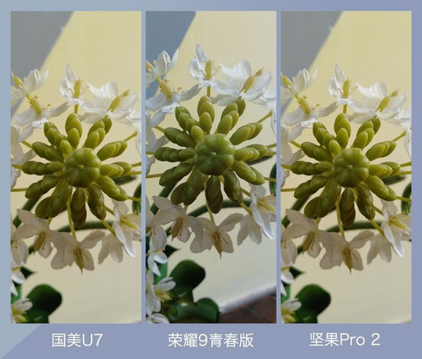华为荣耀9青春版拍照怎么样？荣耀9青春版、坚果Pro2、国美U7拍照样张对比