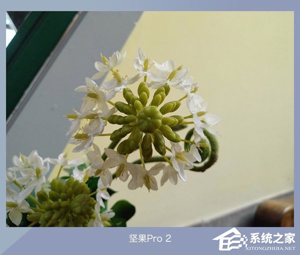 华为荣耀9青春版拍照怎么样？荣耀9青春版、坚果Pro2、国美U7拍照样张对比