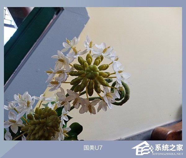 华为荣耀9青春版拍照怎么样？荣耀9青春版、坚果Pro2、国美U7拍照样张对比