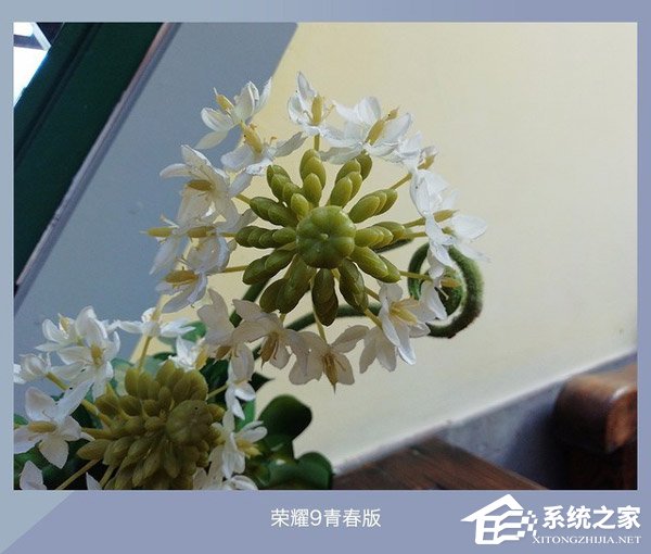 华为荣耀9青春版拍照怎么样？荣耀9青春版、坚果Pro2、国美U7拍照样张对比