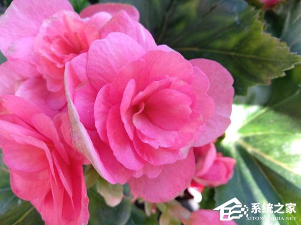 买魅蓝S6还是红米5 Plus？红米5 Plus和魅蓝S6对比评测