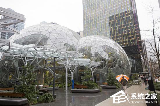 有钱任性！亚马逊砸40亿美元在总部扩建“热带雨林”