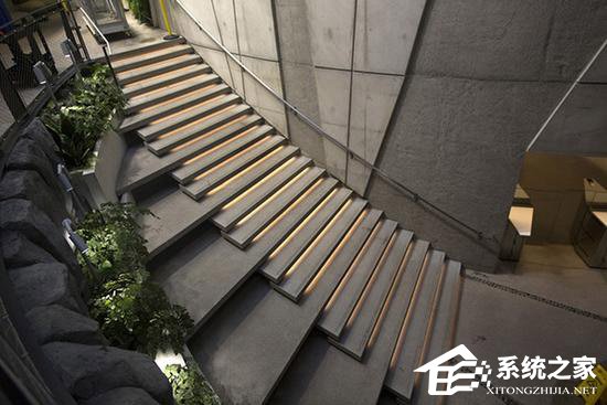 有钱任性！亚马逊砸40亿美元在总部扩建“热带雨林”