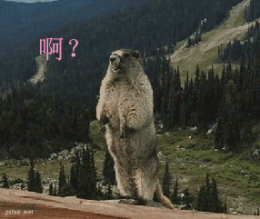 暴走大事件熊叫表情包