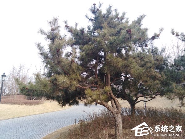 华为荣耀畅玩7C好不好？荣耀畅玩7C手机上手评测