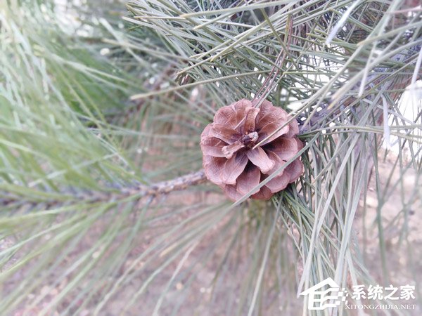 华为荣耀畅玩7C好不好？荣耀畅玩7C手机上手评测