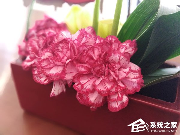 华为荣耀畅玩7C好不好？荣耀畅玩7C手机上手评测