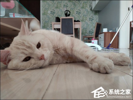 小米黑鲨游戏手机怎么样好用吗？小米黑鲨游戏手机全面评测
