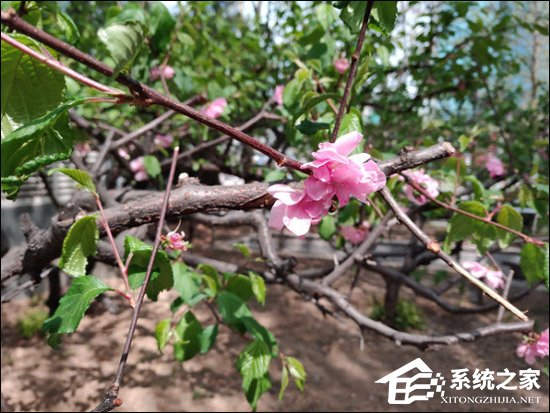 小米黑鲨游戏手机怎么样好用吗？小米黑鲨游戏手机全面评测