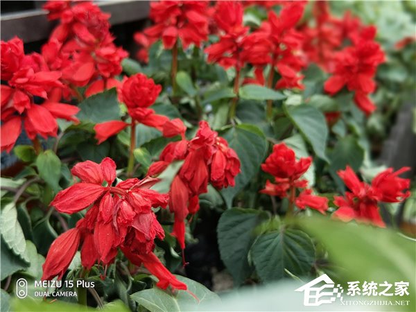 魅族15 Plus好不好？魅族15 Plus上手体验评测