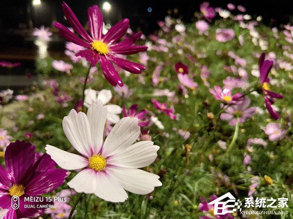 买魅族15 Plus还是小米MIX 2S？小米MIX 2S和MEIZU 15 Plus拍照对比