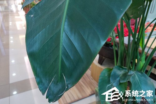 一加6怎么样好用吗？OnePlus 6手机评测