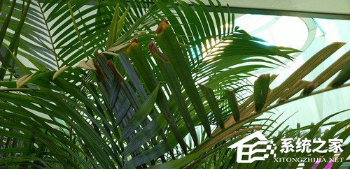 联想Z5怎么样？联想Z5手机评测