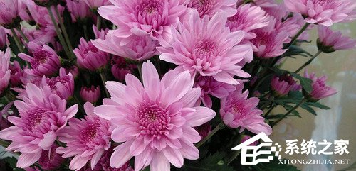 联想Z5怎么样？联想Z5手机评测