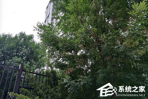 红米6怎么样?红米6手机评测
