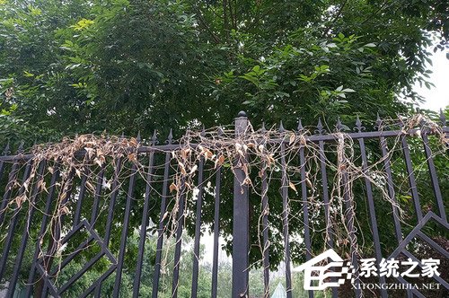红米6怎么样?红米6手机评测